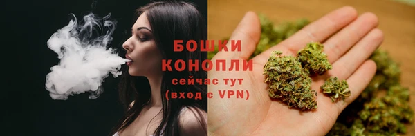 прущие крисы Белокуриха